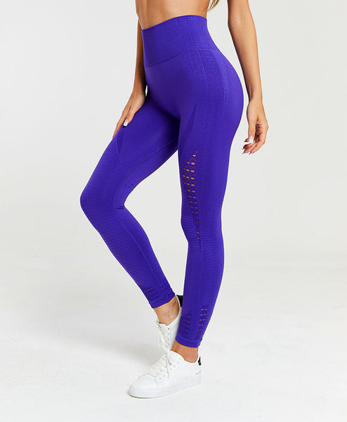 MESH HIGH RISE WORKOUT LEGGINGS II